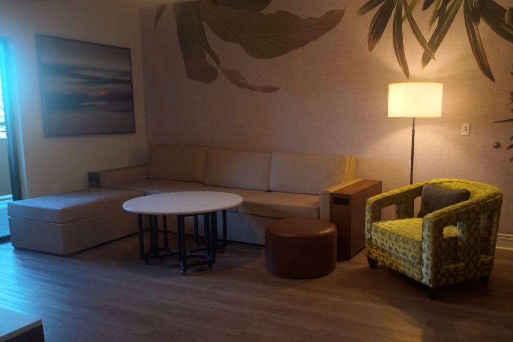 The living room area with sofas.