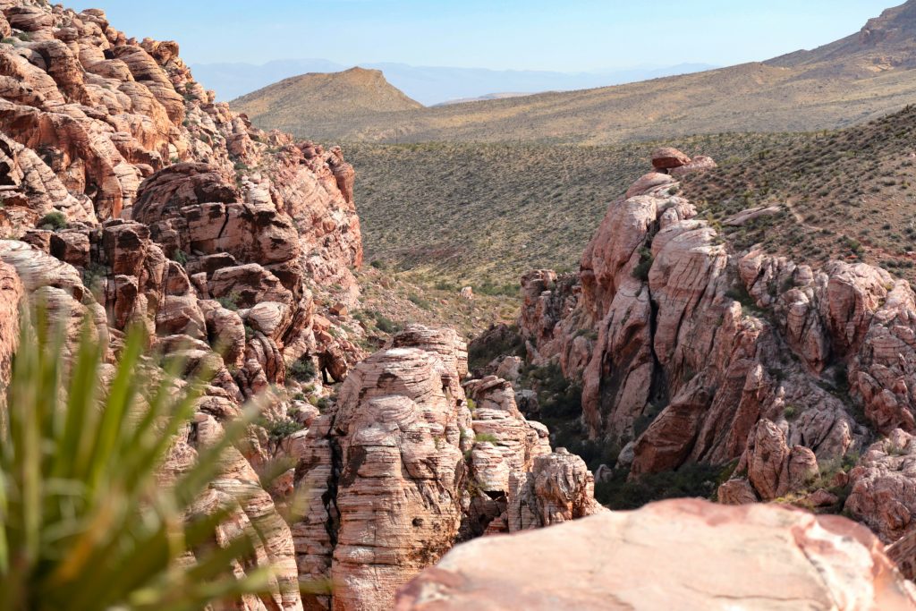 The Red Rock Canyon.